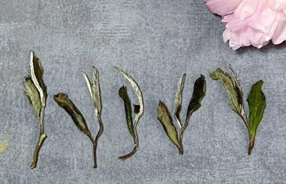 Organic White Peony Tea